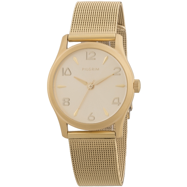 Gold Plated Mesh Watch