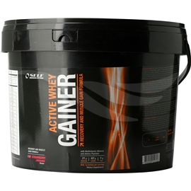 New Active Whey Gainer