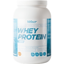 WNT Whey Protein