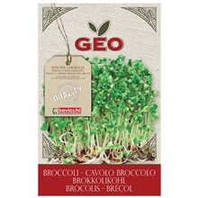 13 gr - Broccolifrö EKO