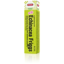 Echinacea Friggs