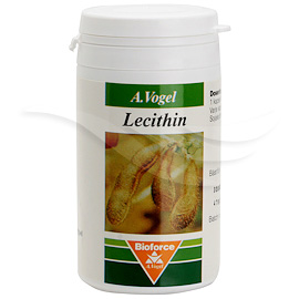 Lecithin