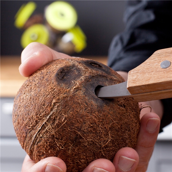 Kookospähkinän avaaja (Kuva 3 tuotteesta 5)