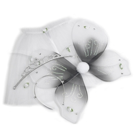 Dream Girl Angel Princess Wings Set