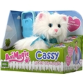 Animagic Cassy Goes Catwalk