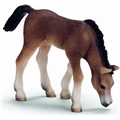 Schleich Laiduntava Arabianhevonen Varsa