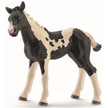 Schleich Vuoden Vanha Pinto-Varsa