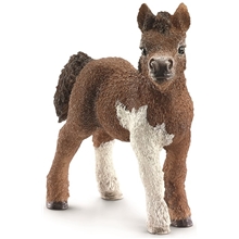 Schleich Shetlannin varsa