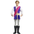 Barbie in The Pink Shoes Prince Doll