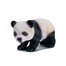 Pandan pentu