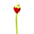 5538 Hair Clip Sorter Strawberry