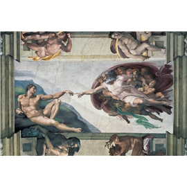 Palapeli 5000 Palaa Michelangelo, Luomus