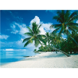 Palapeli 1000 Palaa Bora Bora, Tyynimeri