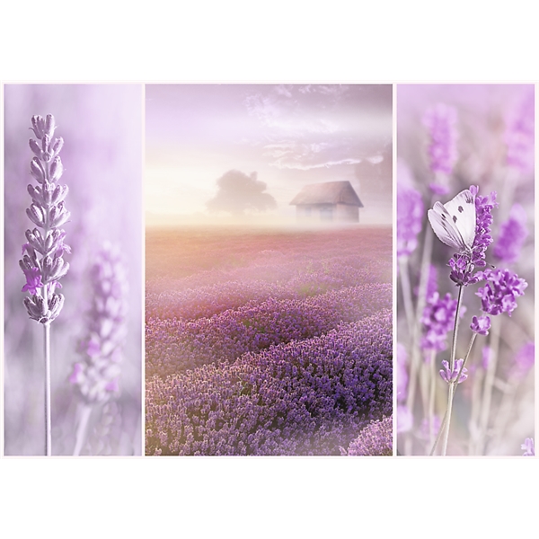 Palapeli 1000 Palaa Lavender Fields (Kuva 2 tuotteesta 2)