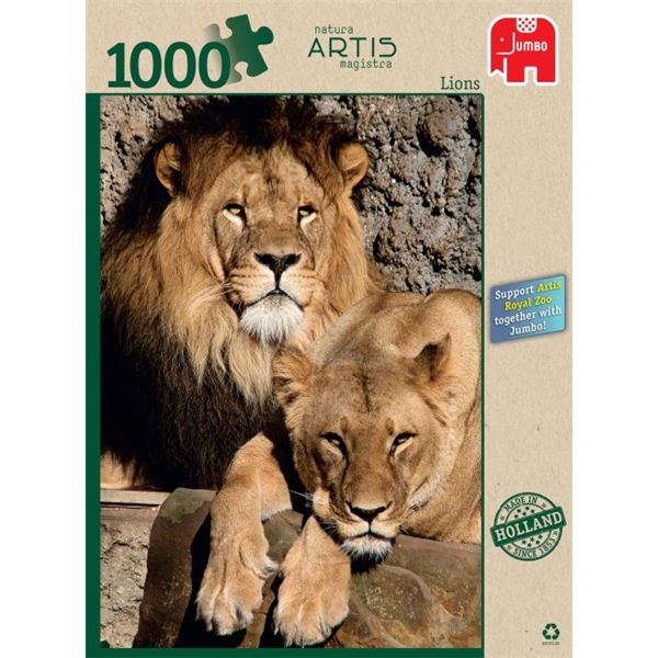 Palapeli 1000 Palaa Lions (Kuva 1 tuotteesta 4)