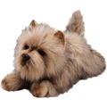 Pehmo Cairn Terrier