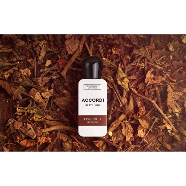 Accordi Di Profumo Patchouli Indonesia - Edp (Kuva 2 tuotteesta 2)