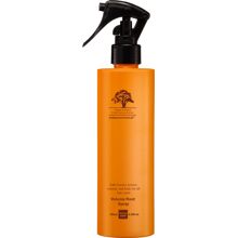 Arganmidas Volume Root Spray