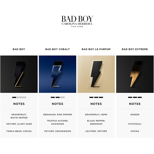 Bad Boy - Eau de toilette (Kuva 3 tuotteesta 9)