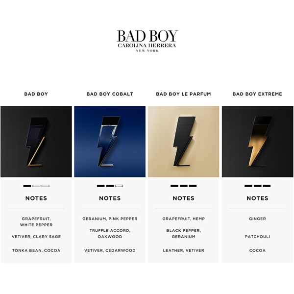 Bad Boy Extreme - Eau de parfum (Kuva 3 tuotteesta 9)