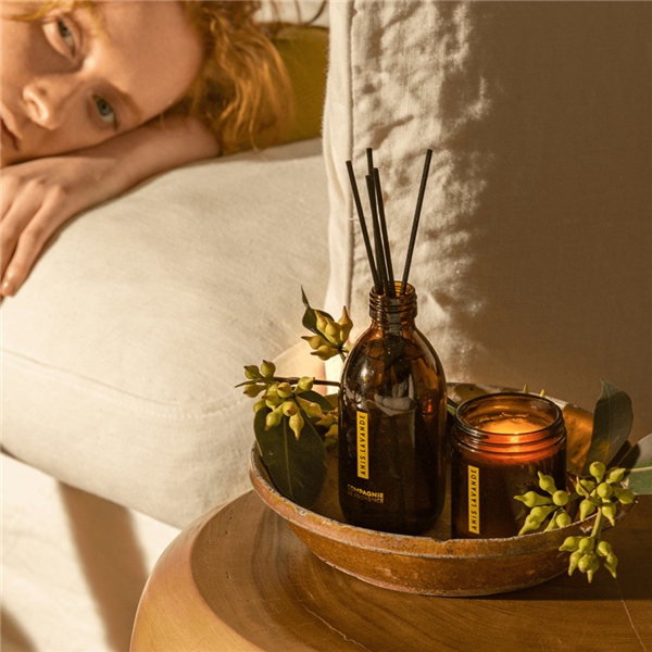 Fragrance Diffuser Anise Lavender (Kuva 3 tuotteesta 3)