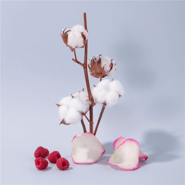 Hand & Body Lotion Cotton Flower (Kuva 2 tuotteesta 3)