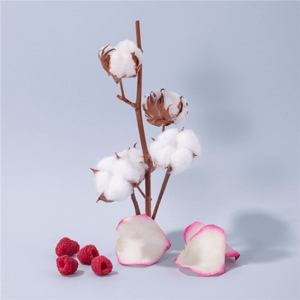 Liquid Marseille Soap Refill Cotton Flower (Kuva 2 tuotteesta 4)