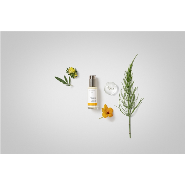 Dr Hauschka Balancing Day Lotion (Kuva 2 tuotteesta 2)