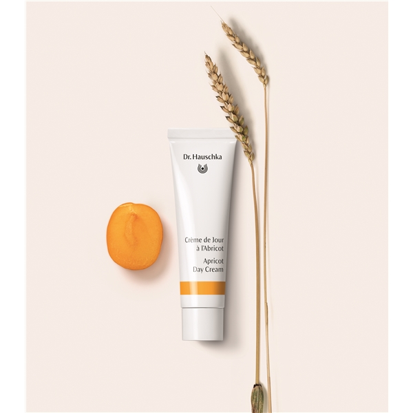 Dr Hauschka Apricot Day Cream (Kuva 3 tuotteesta 3)