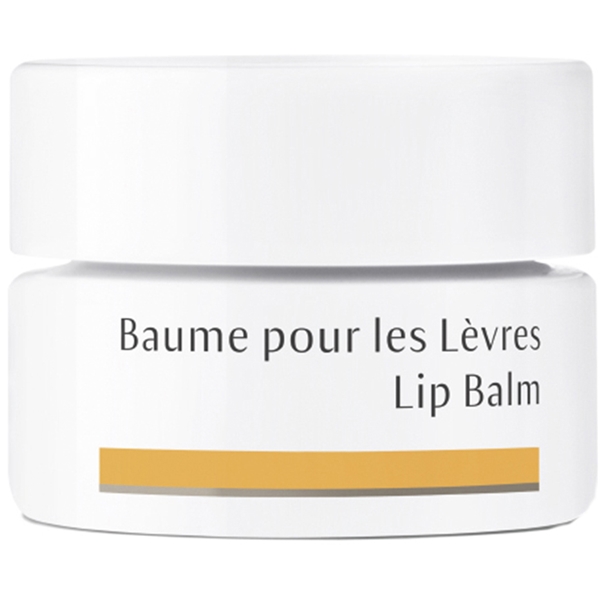 Dr Hauschka Lip Balm (Kuva 1 tuotteesta 2)