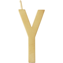 Y