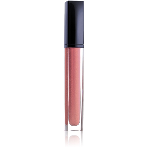 Pure Color Envy Lip Lacquer