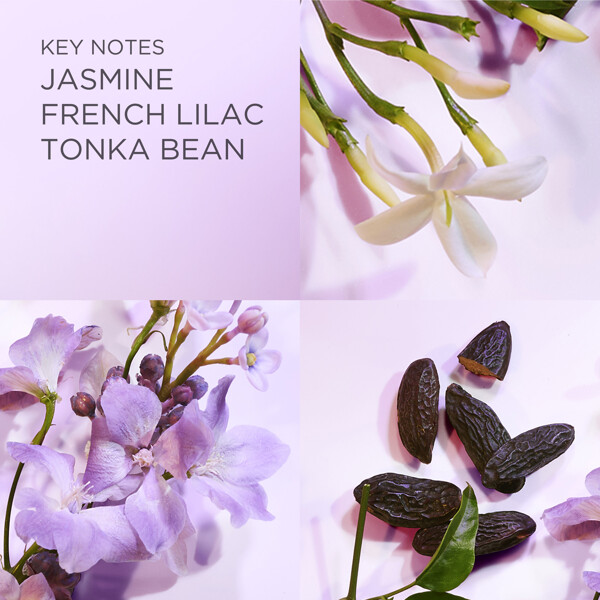 White Tea Eau Lilac - Eau de toilette (Kuva 4 tuotteesta 8)