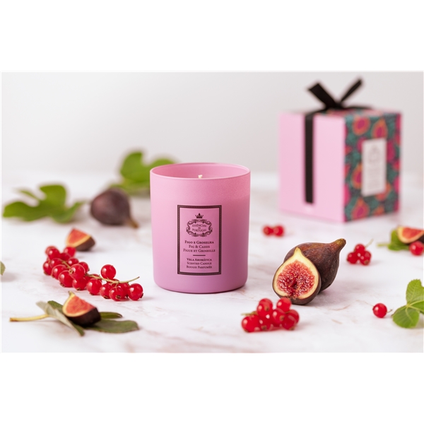 Essências de Portugal Candle Fig & Cassis (Kuva 2 tuotteesta 2)