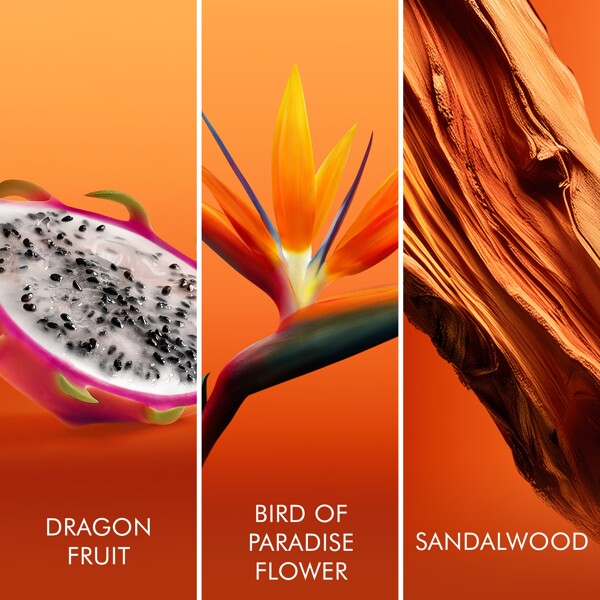Escada Bali Paradise - Eau de toilette (Kuva 3 tuotteesta 7)
