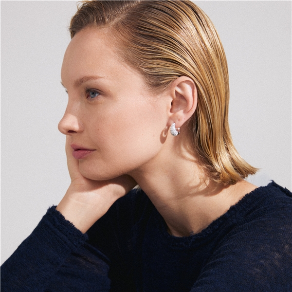 11243-6003 FOCUS Crystal Earrings (Kuva 2 tuotteesta 3)