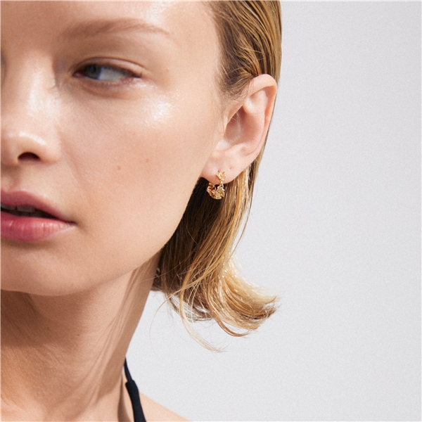 12243-2003 TRUST Hoop Earrings (Kuva 3 tuotteesta 4)