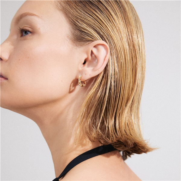 12243-2003 TRUST Hoop Earrings (Kuva 4 tuotteesta 4)