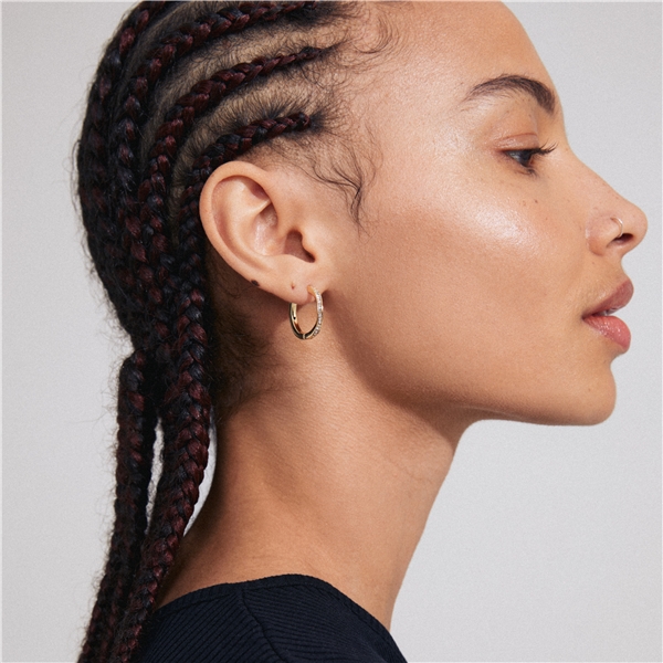 13243-2003 TRUE Hoop Earrings (Kuva 4 tuotteesta 5)