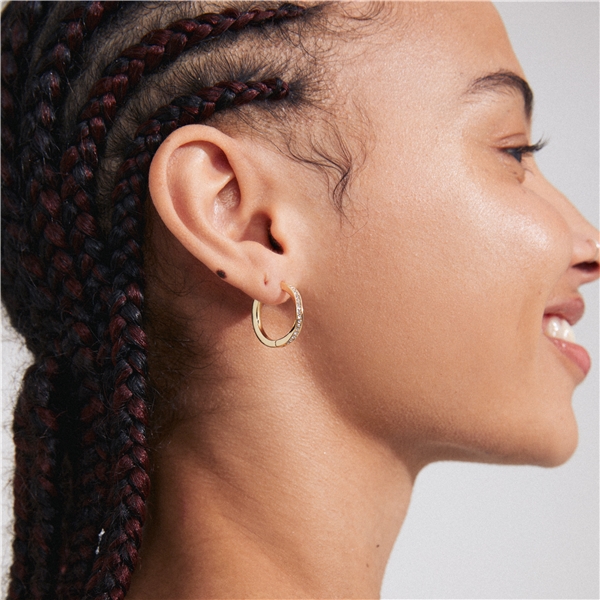 13243-2003 TRUE Hoop Earrings (Kuva 5 tuotteesta 5)