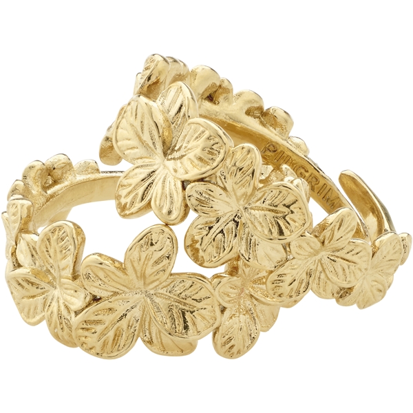 27243-2014 CHARMAINE Rings 2 In 1 Set (Kuva 1 tuotteesta 4)
