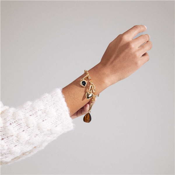 40243-2042 CHARM Bracelet (Kuva 6 tuotteesta 8)