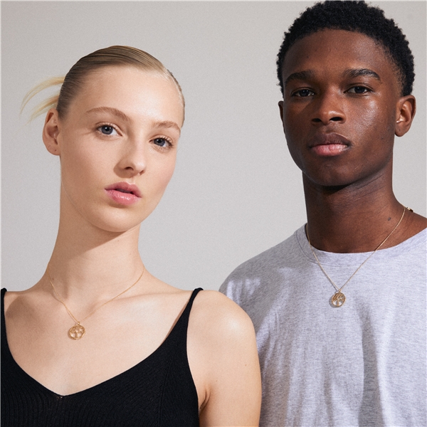 61243-2001 ALIA Necklace (Kuva 3 tuotteesta 4)