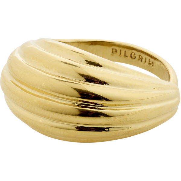26252-2014 ASLE Ring (Kuva 1 tuotteesta 3)