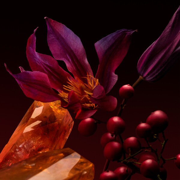 Boss The Scent For Her Elixir - Eau de parfum (Kuva 4 tuotteesta 7)