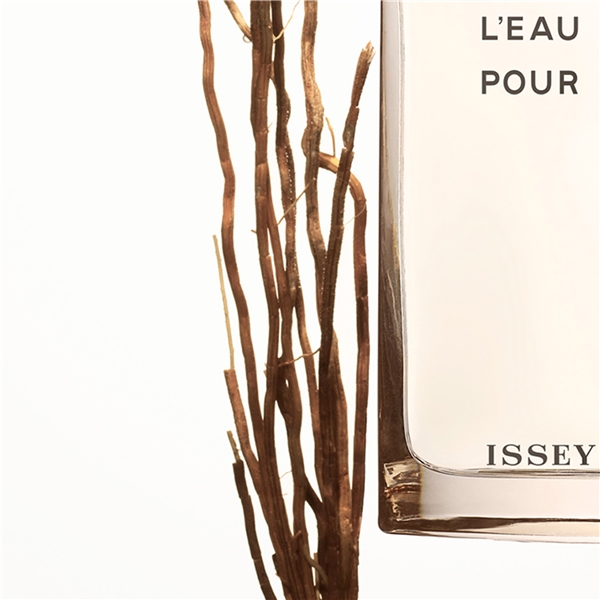 L'eau D'Issey Pour Homme Vetiver - Eau de toilette (Kuva 6 tuotteesta 10)