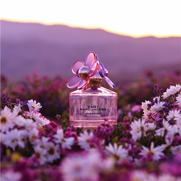 Daisy Paradise - Eau de toilette (Kuva 4 tuotteesta 5)