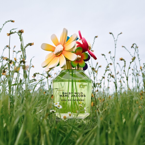 Daisy Wild Eau So Intense - Eau de parfum (Kuva 5 tuotteesta 9)