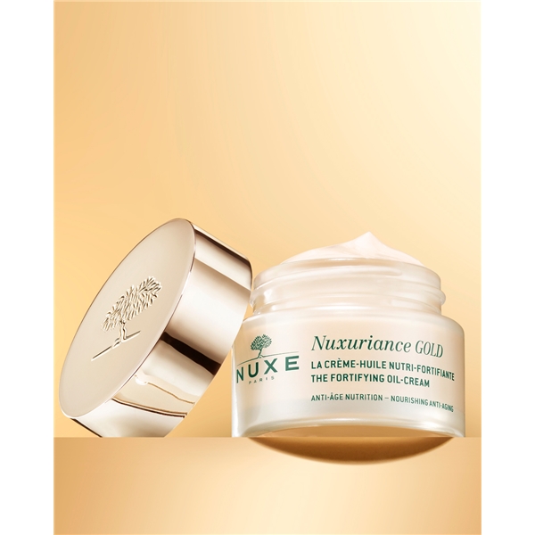 Nuxuriance Gold The Fortifying Oil Cream - Dry (Kuva 4 tuotteesta 5)
