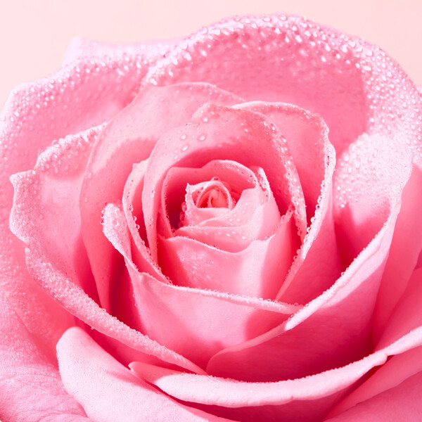 Very Rose Soothing Cleansing Gel (Kuva 3 tuotteesta 4)